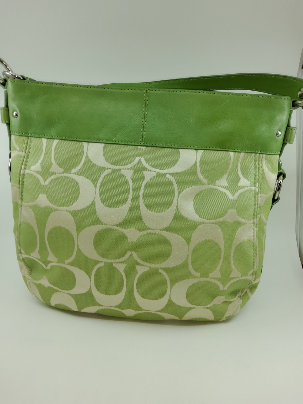 Coach Signature Zoe Hobo Bag